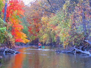 Wayne Lower Rouge Parkway Michigan Water Trails