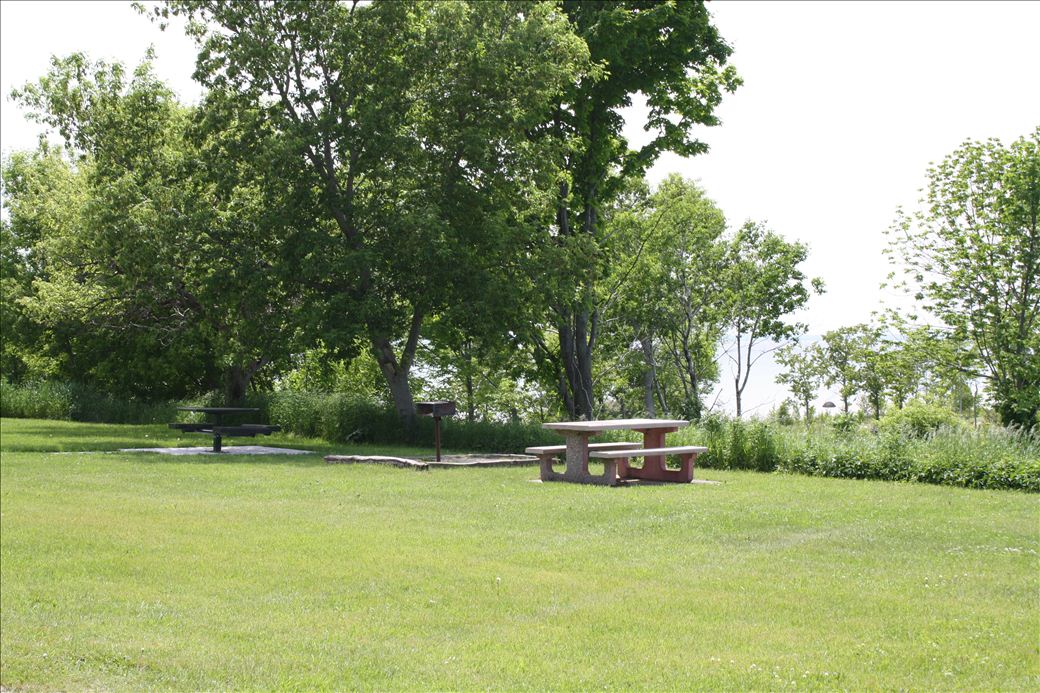 Norwood Township Park