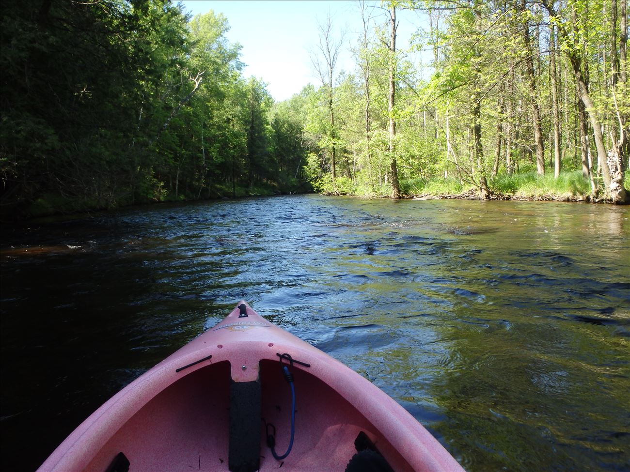 Paddling on the White River