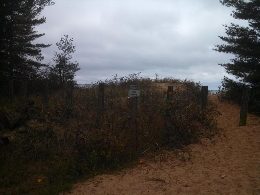 01_michiganshoresbeach_2.jpg