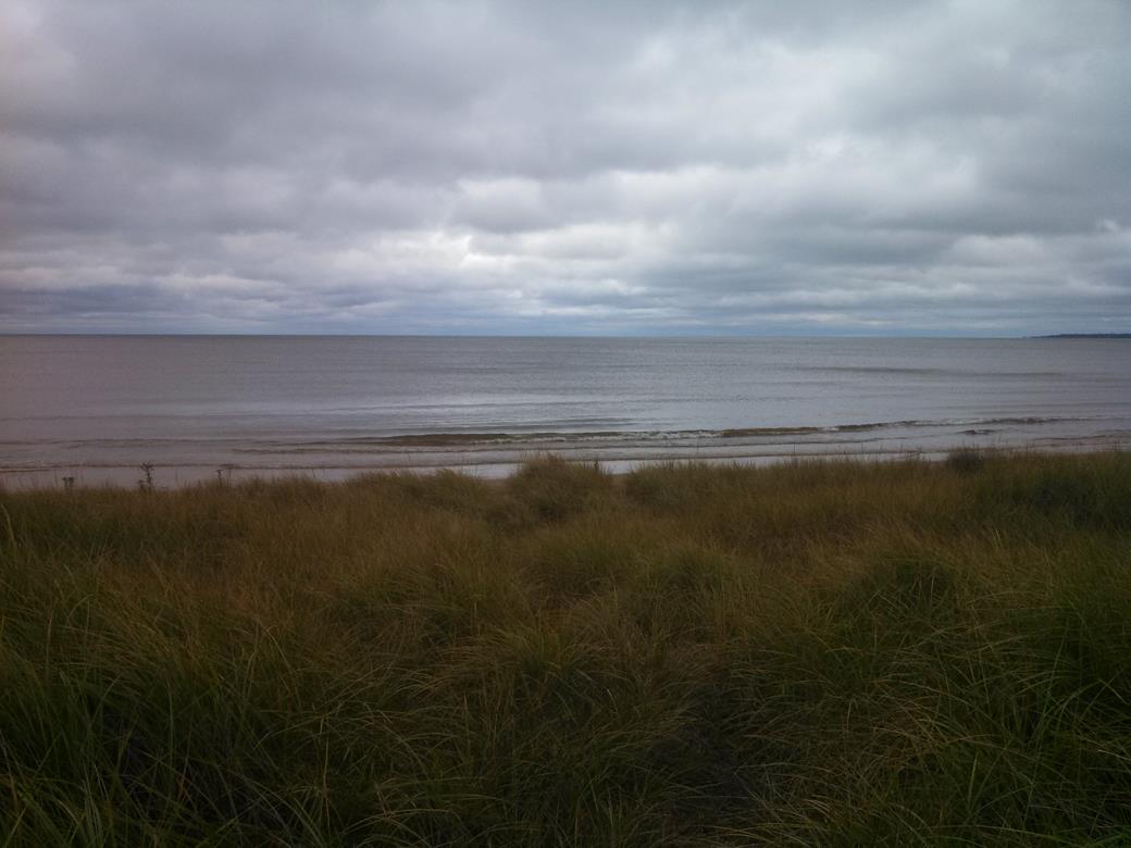 06_rogersbeach_3.jpg