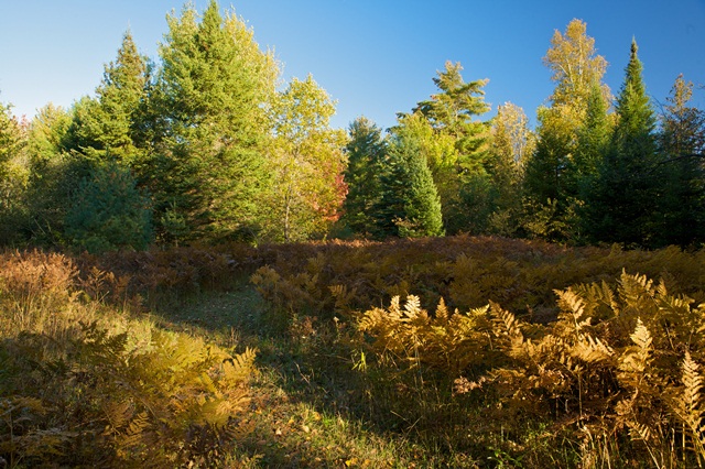 08_10_7475smaller.jpg
