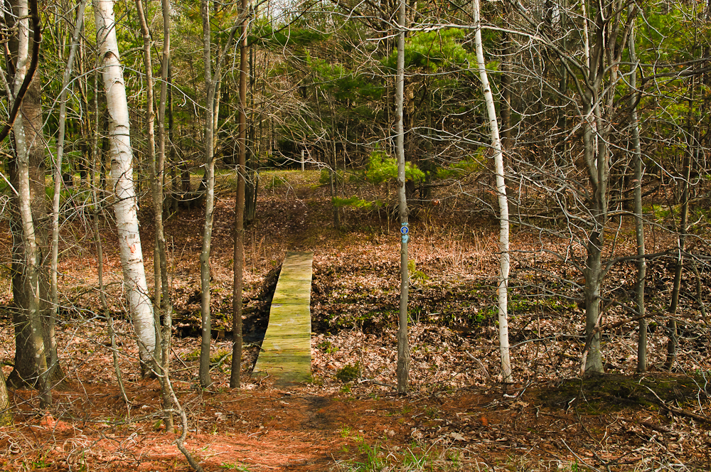 20110501_chaboiganing_6694.jpg