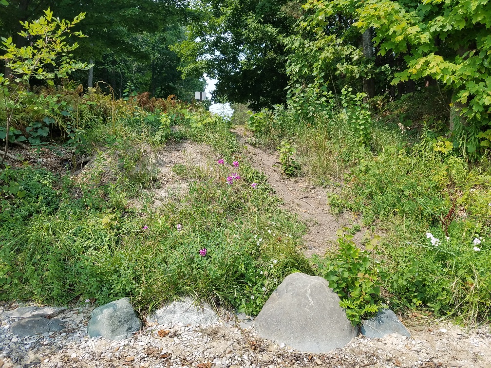 20180816_123518_resized.jpg