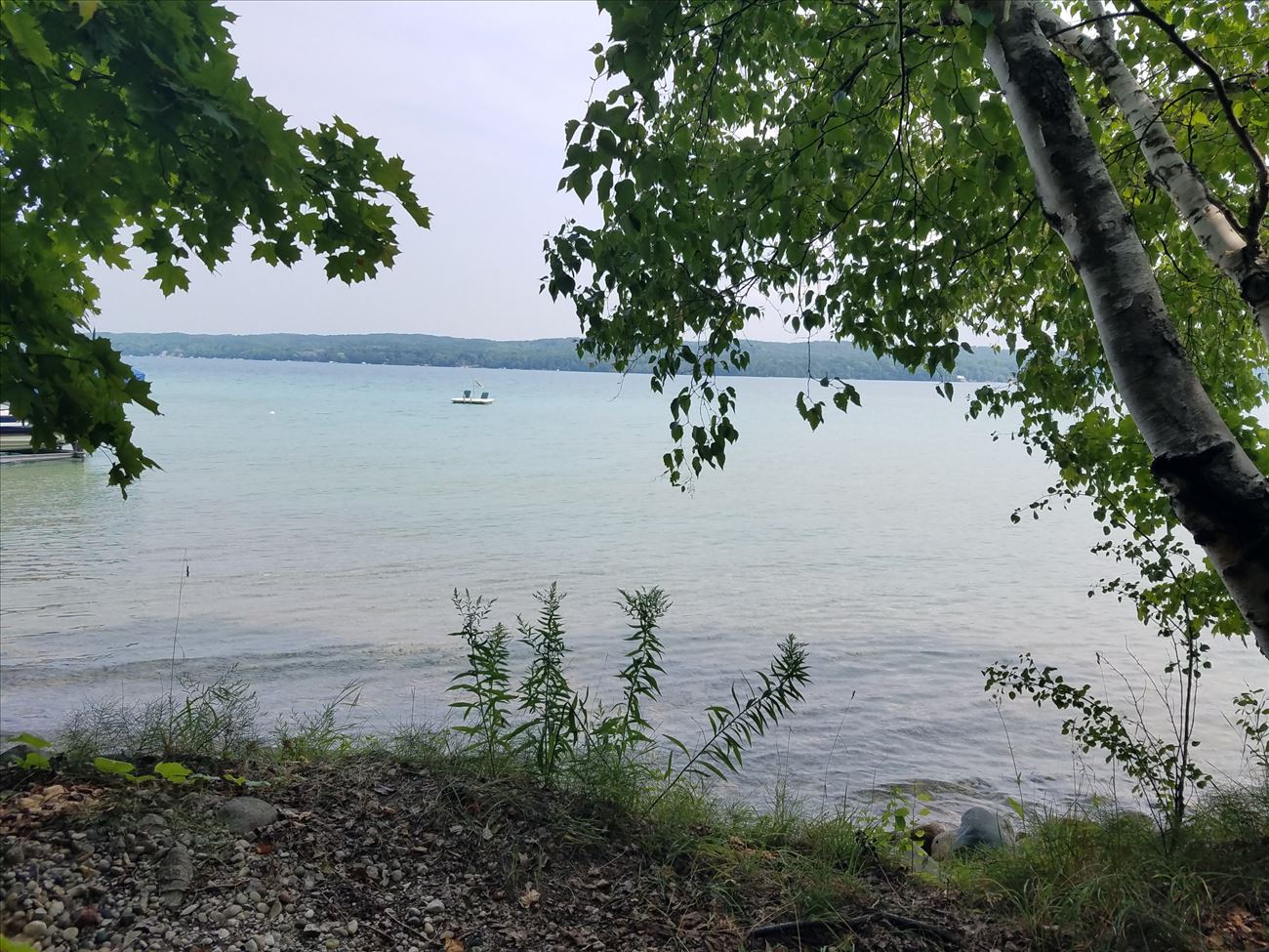 20180816_124634_resized.jpg
