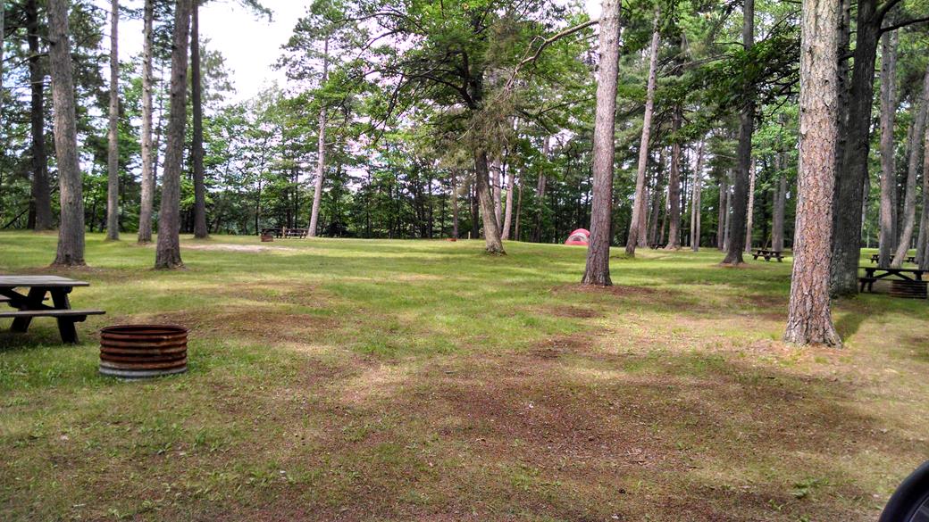 Pioneer campground online