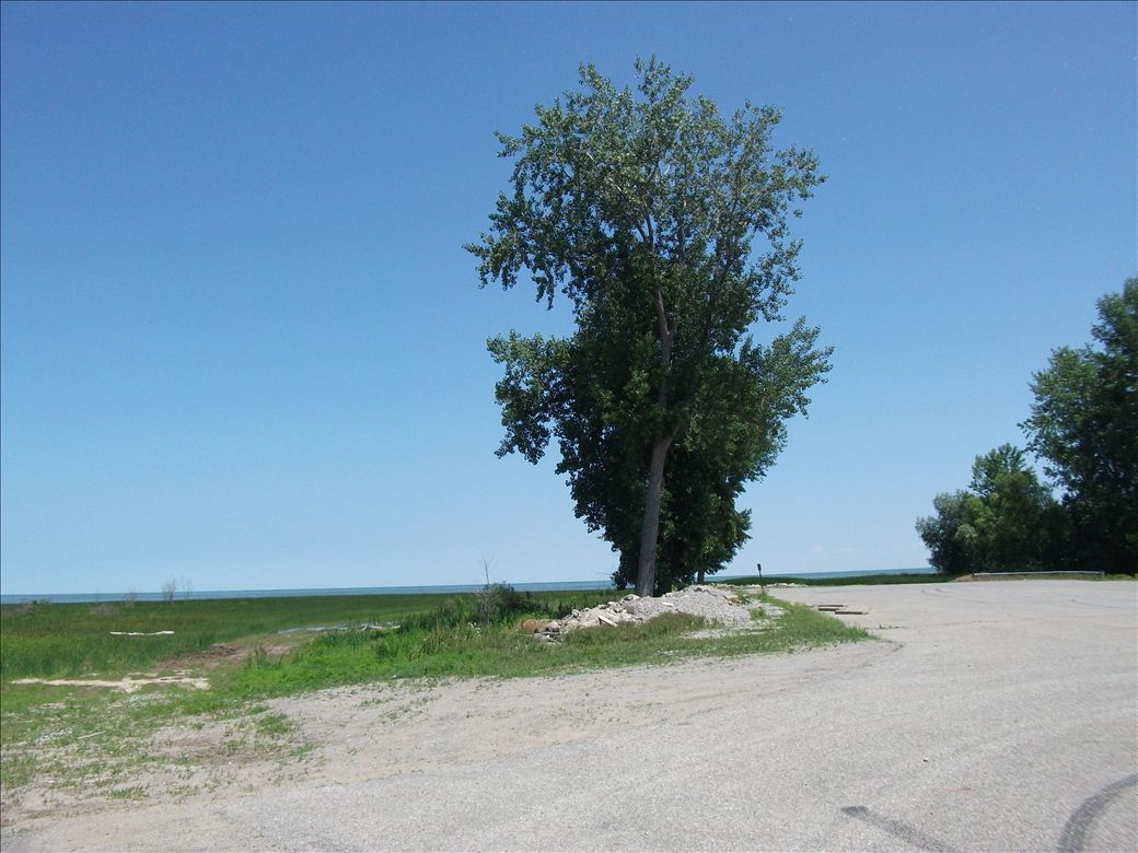 Linwood Scenic Point