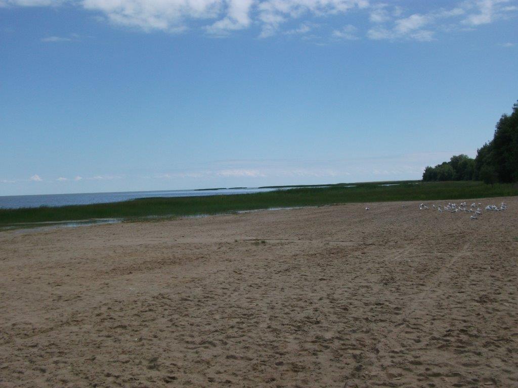 321_pinconning_park.jpg