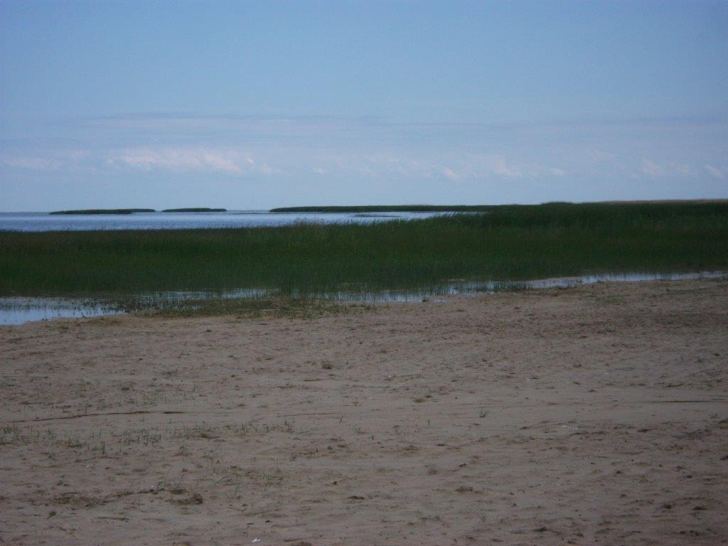 323_pinconning_park.jpg