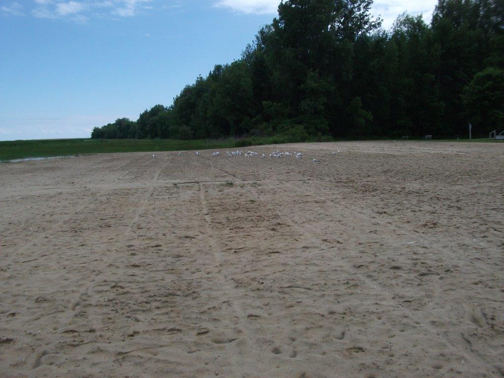 324_pinconning_park.jpg