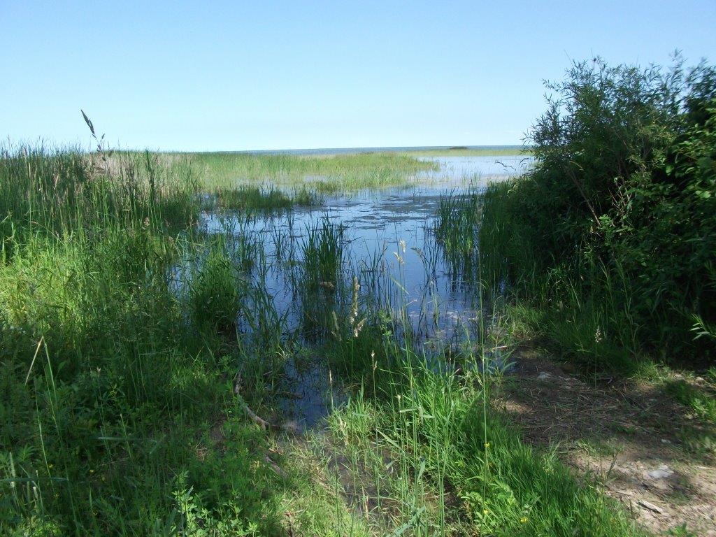 342_bay_arenac_co_line_road_end.jpg