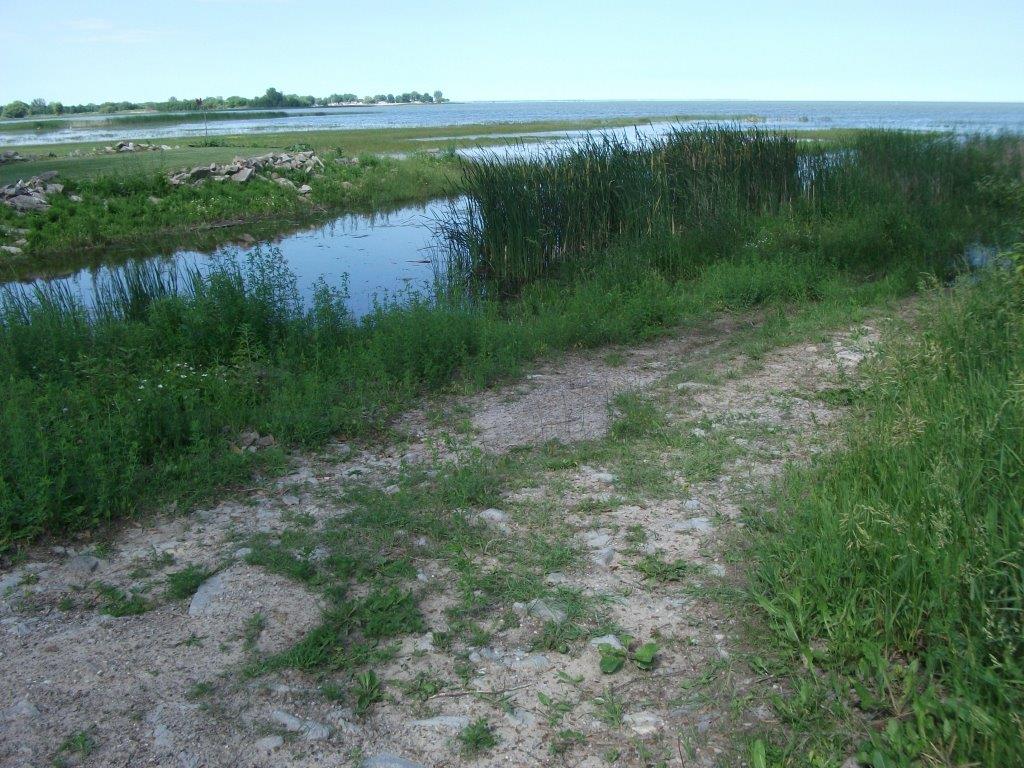 345_bay_arenac_co_line_road_end.jpg