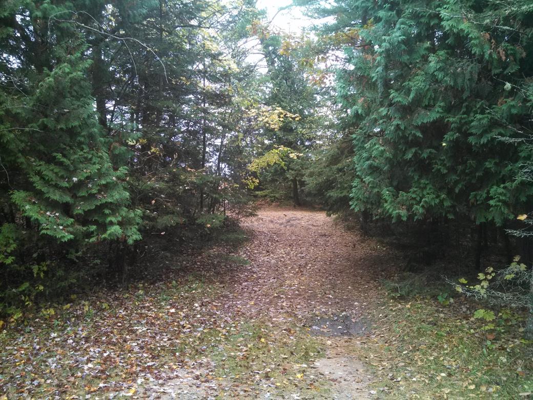 36_bailypark_4.jpg