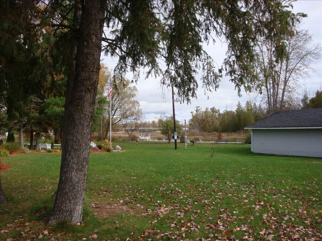 alanson_2.jpg