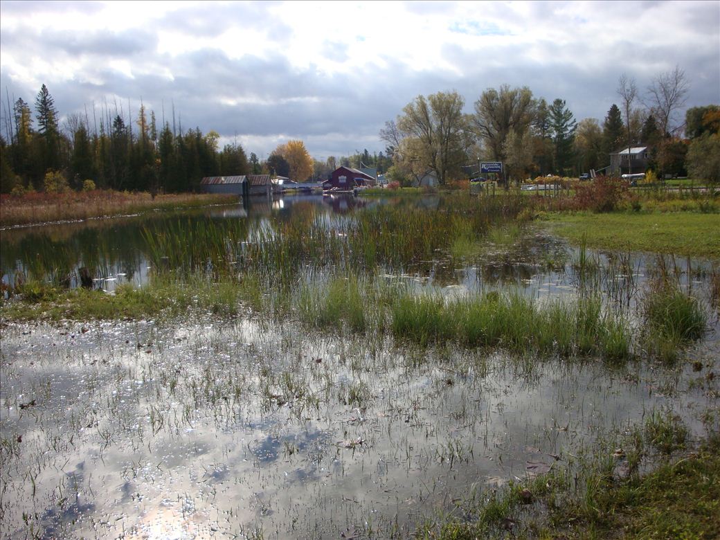 alanson_east_street_4.jpg