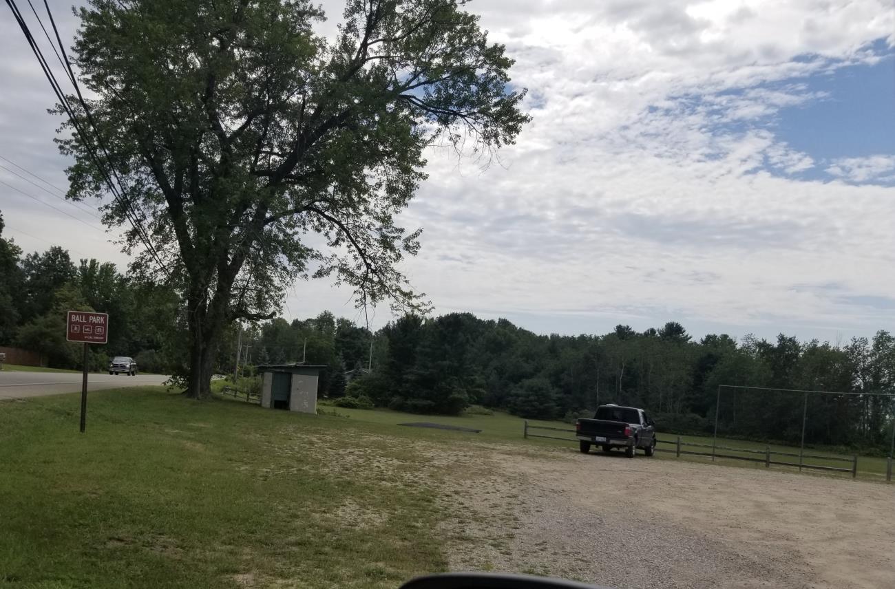 Torch Lake - Alden Ball Park Water Access