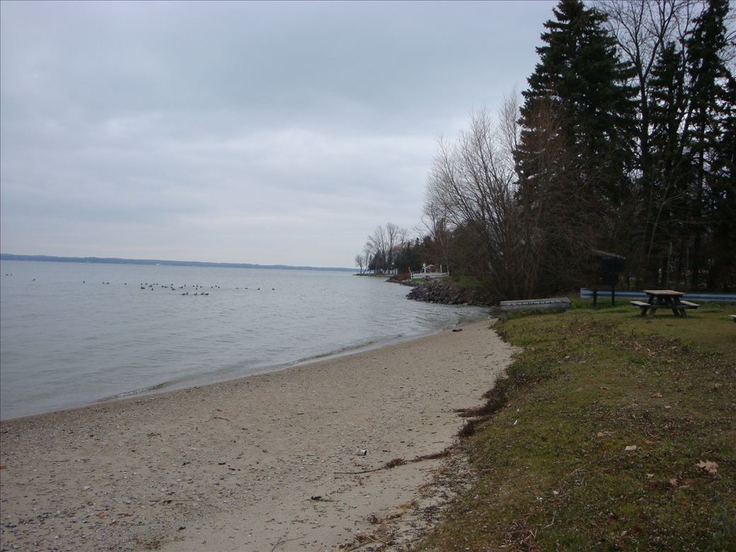 aloha_state_park_3.jpg