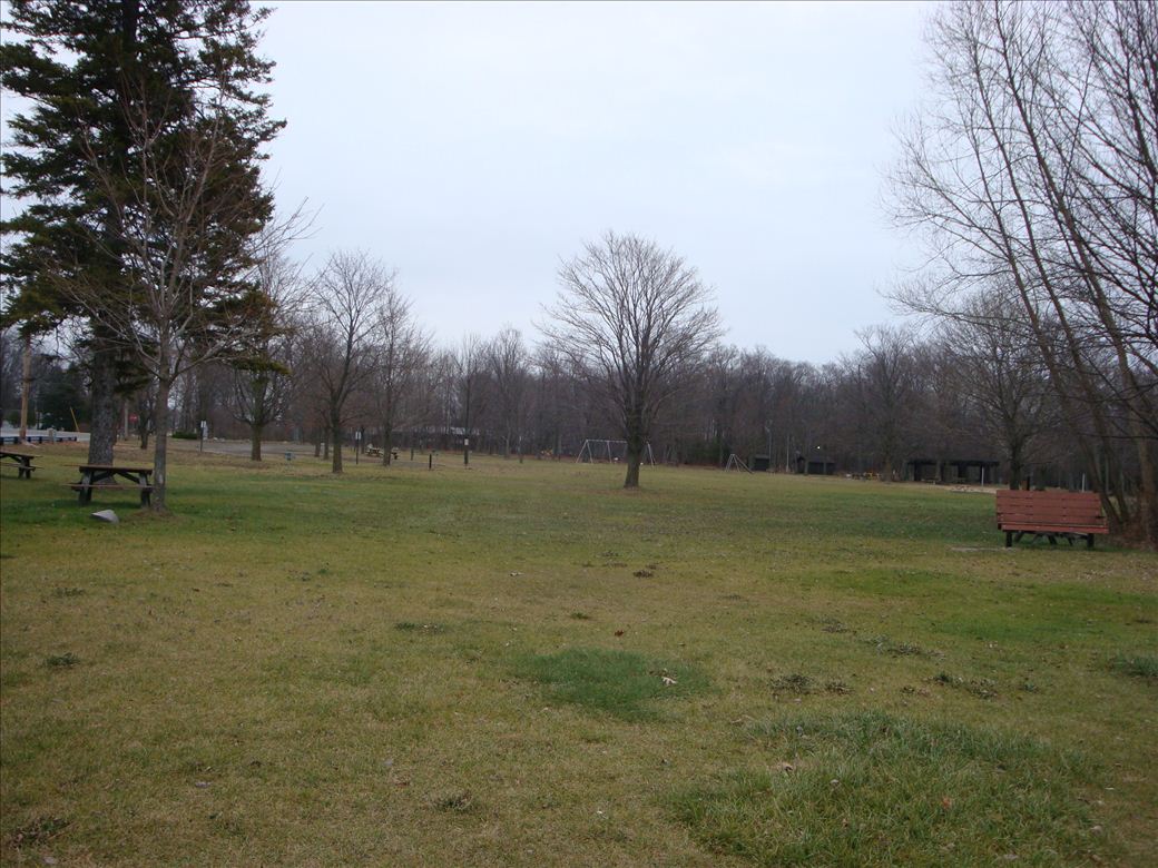 aloha_state_park_4.jpg