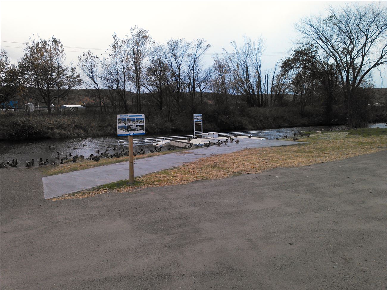 anna_river_ada_dock.jpg