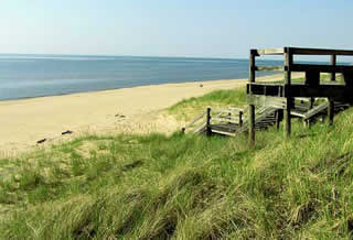 beach005.jpg