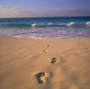 beach_feet.jpg