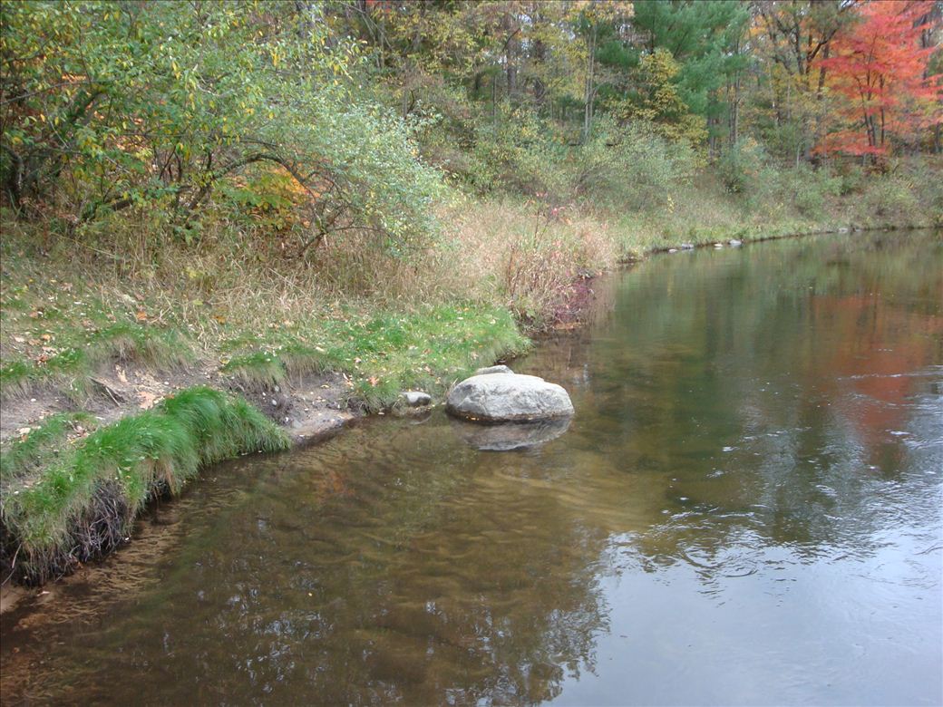 blsp_sturgeon_river_2.jpg