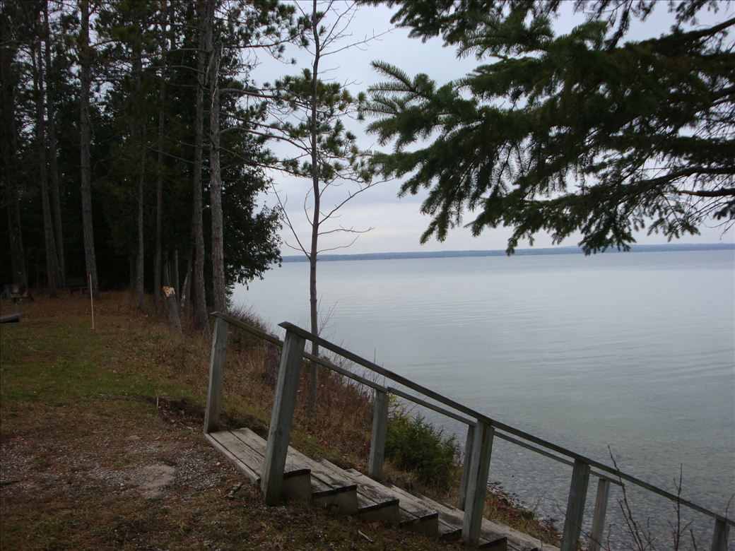 boy_scout_park_3.jpg