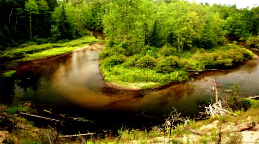 boyde_banwell_nature_preserve_pigeon_river.jpg