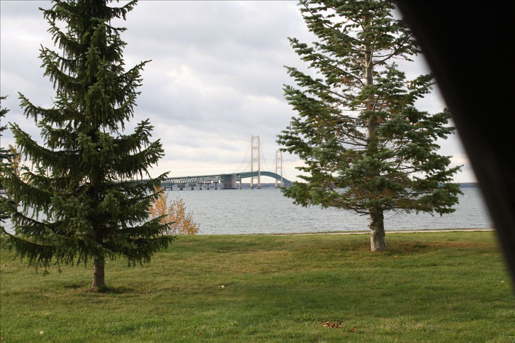Dentist in Bridgeview, BC