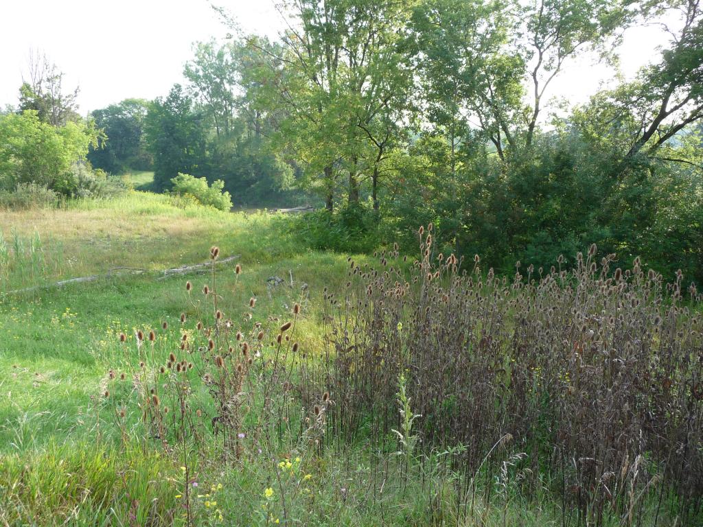 clydetwp.jpg