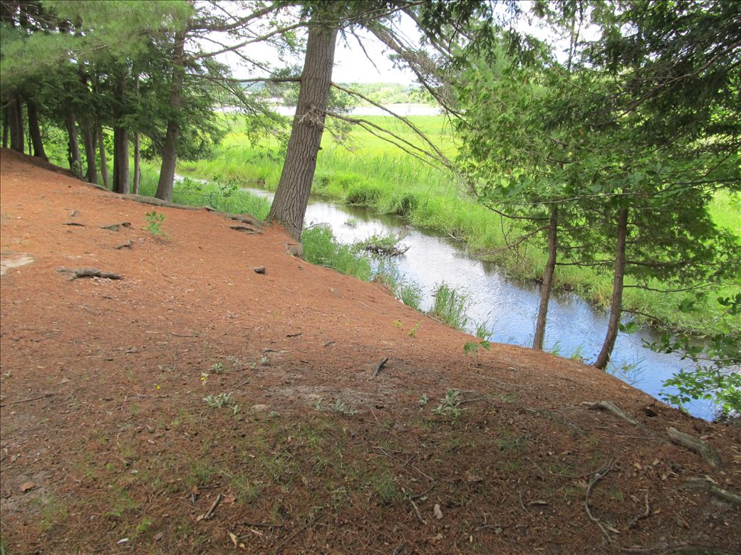 col_water_trails_31.jpg