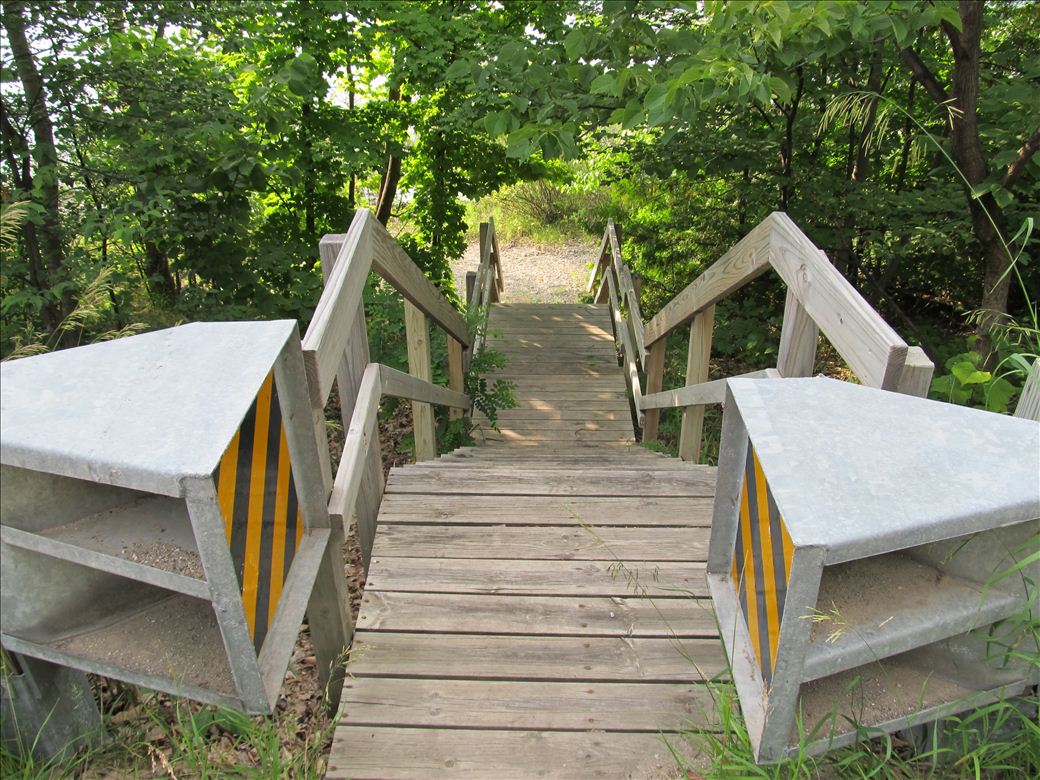 col_water_trails_82.jpg