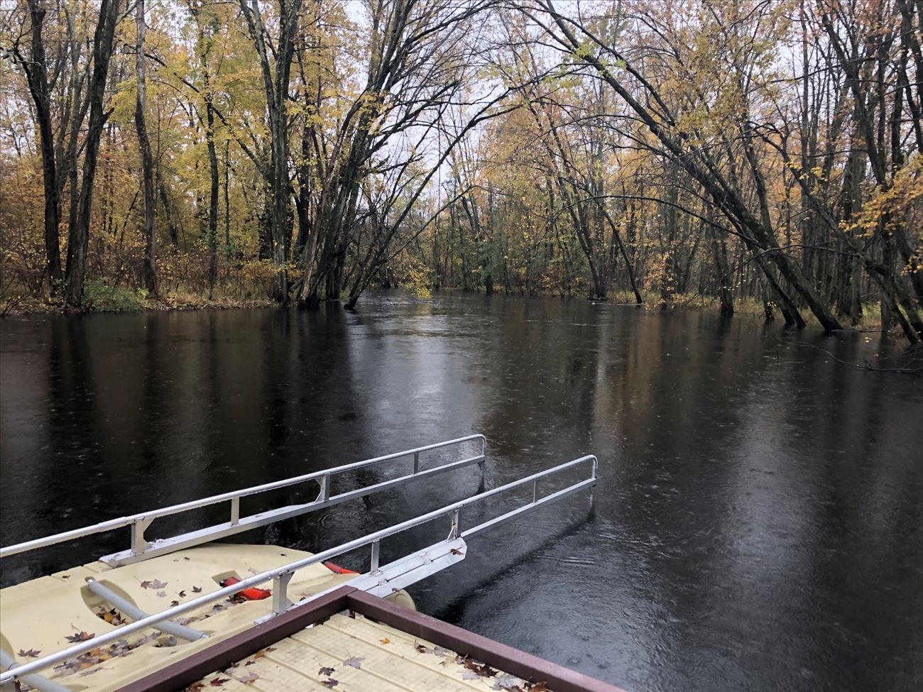 Downstream from the dock