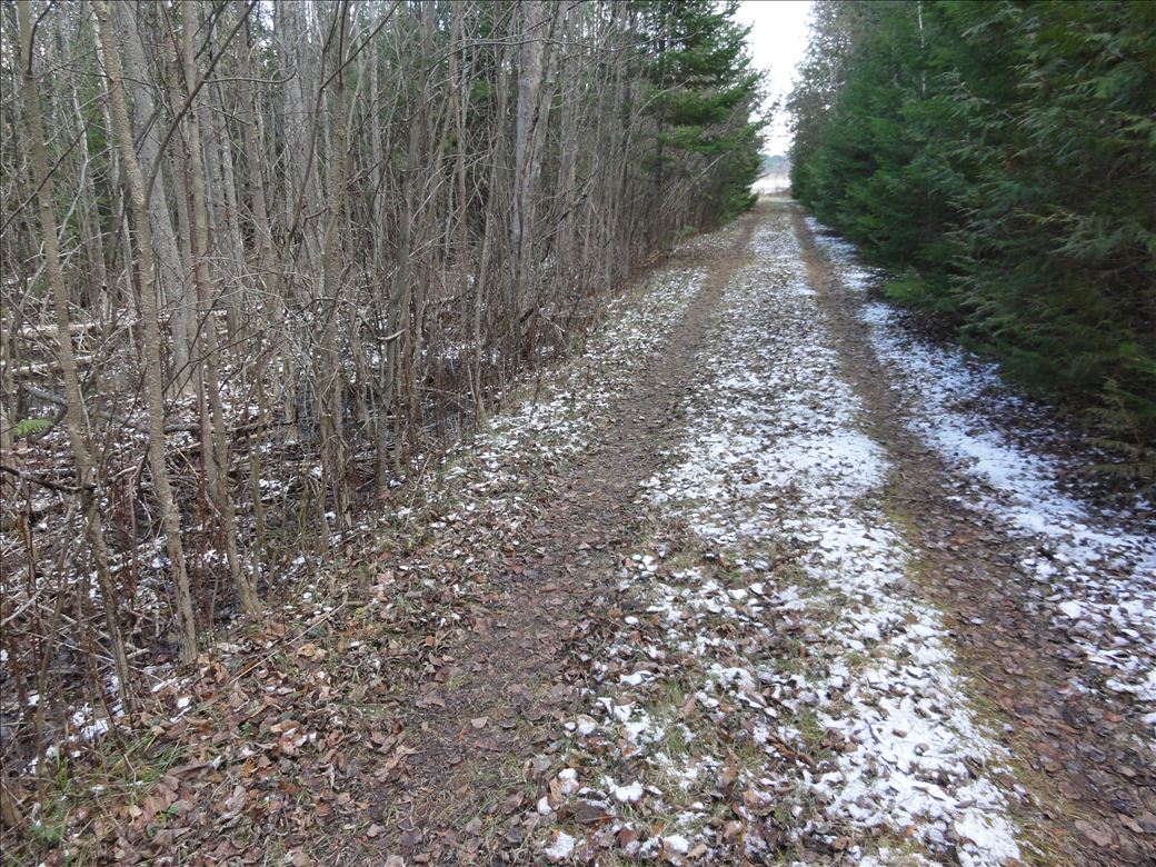 dsc01140.jpg