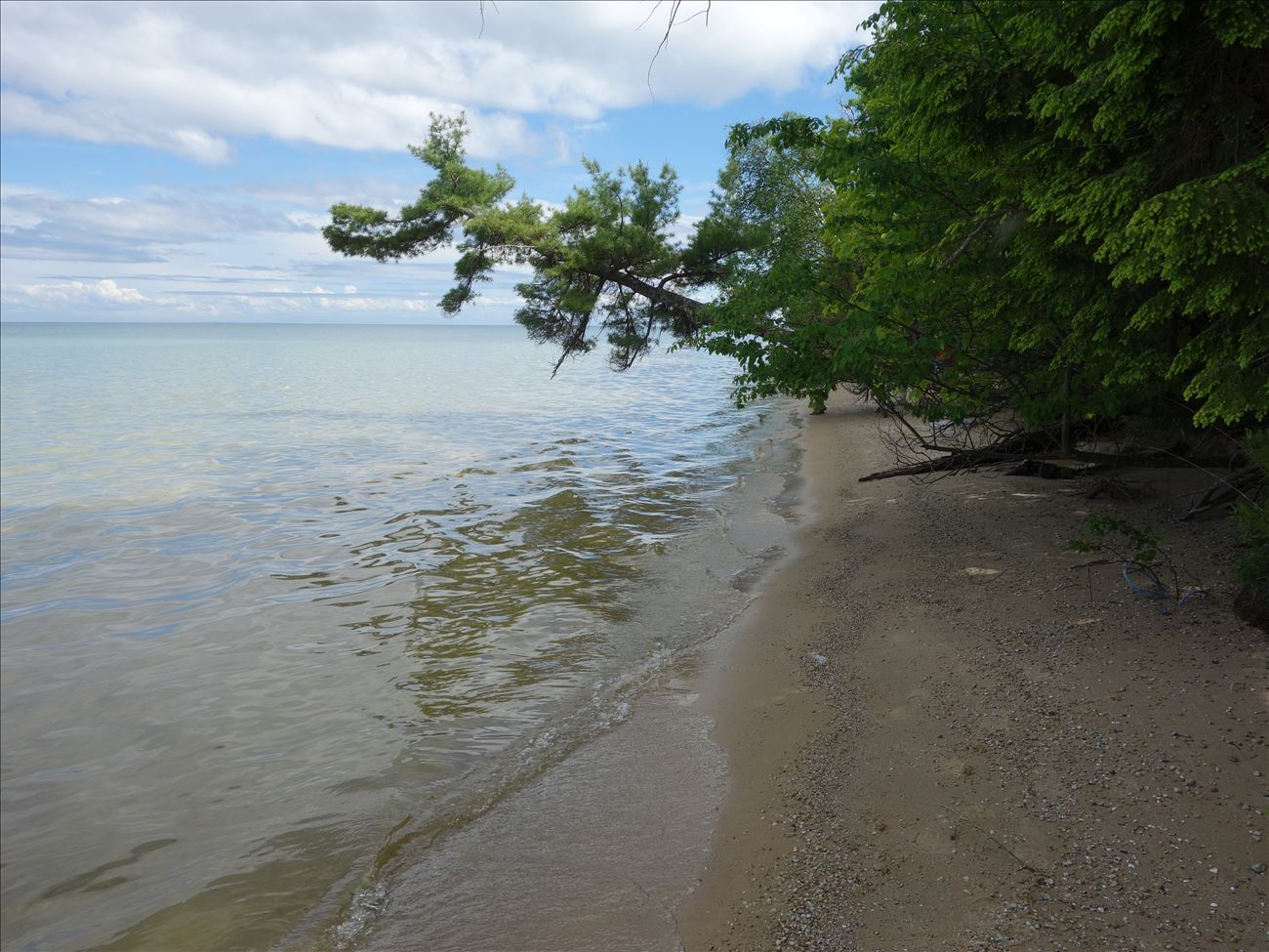 Beach at Martin's Bluff