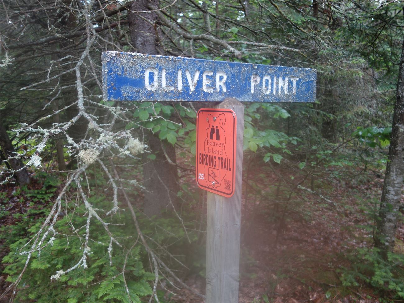 Directional Sign to Oliver's Point