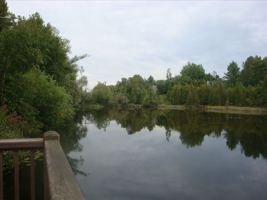 dsc07587.jpg