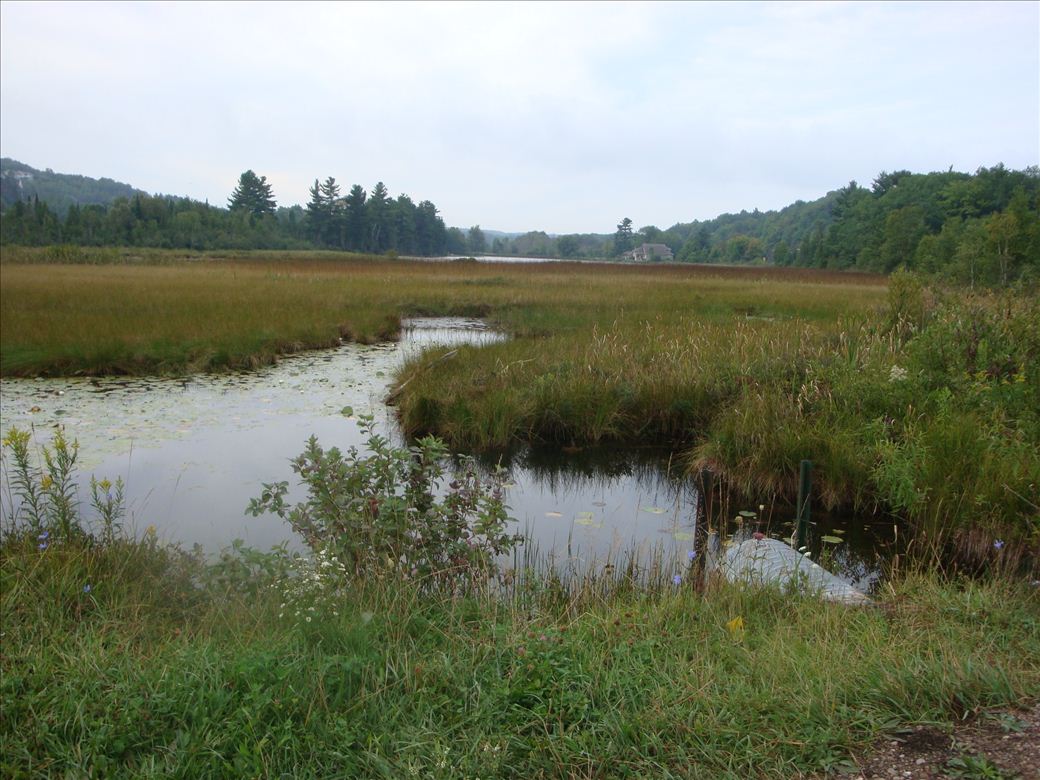 Looking towards Spring Lake