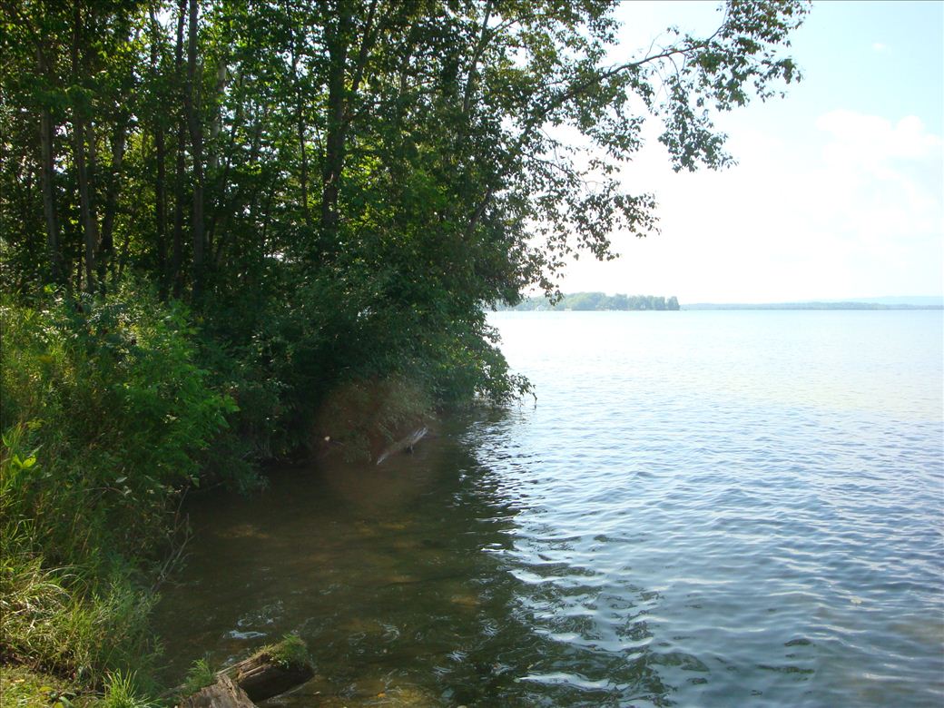 dsc07644.jpg
