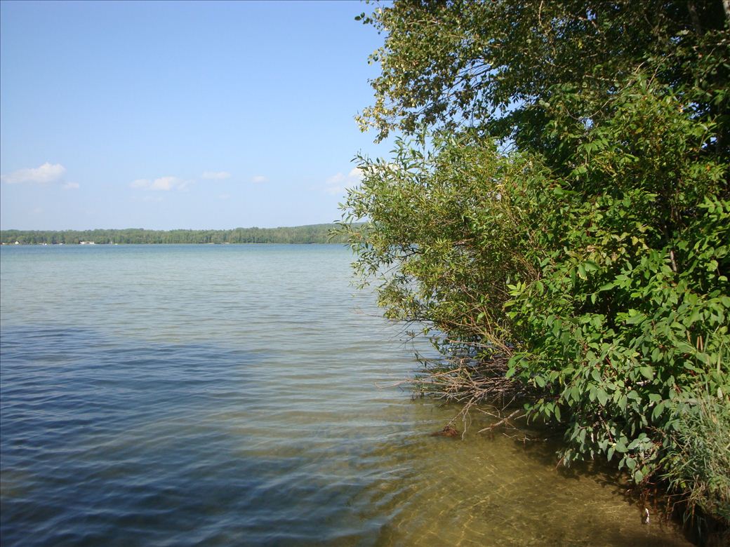 dsc07645.jpg