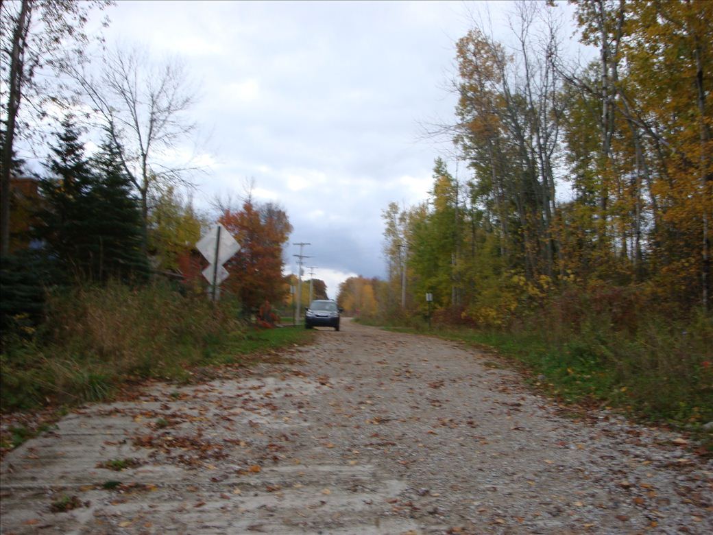 dsc08273.jpg