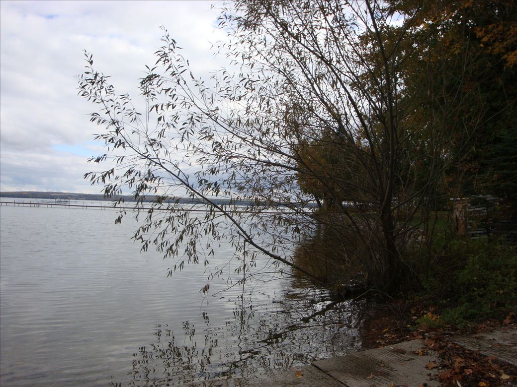 dsc08274.jpg
