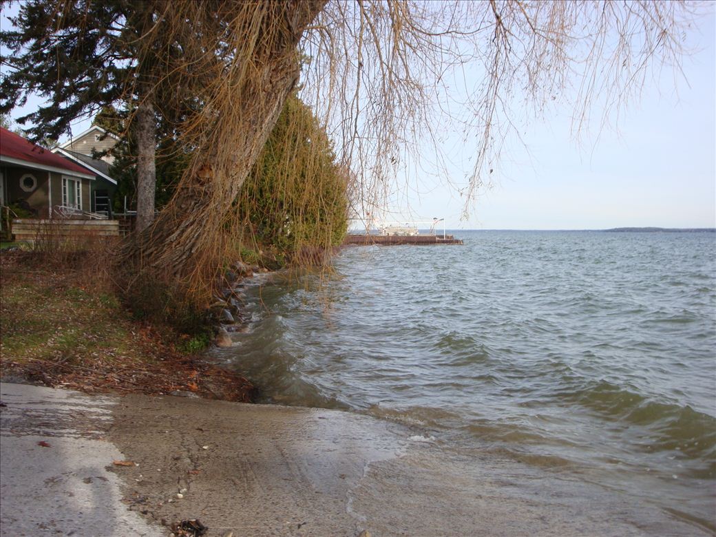 dsc08365.jpg