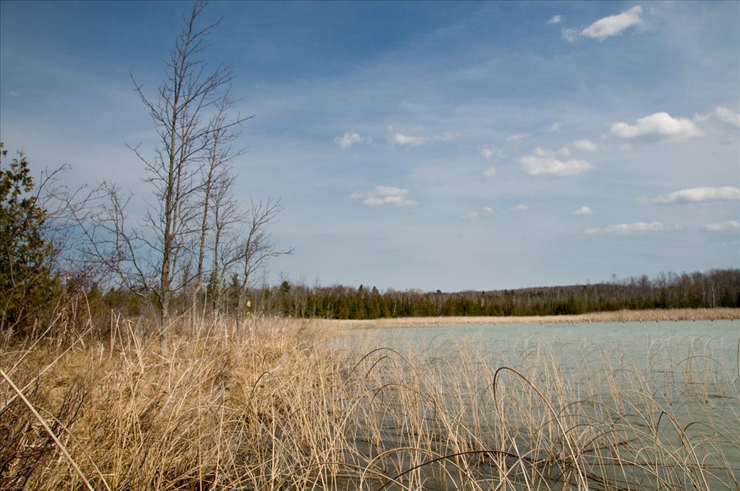 dsc_6295.jpg