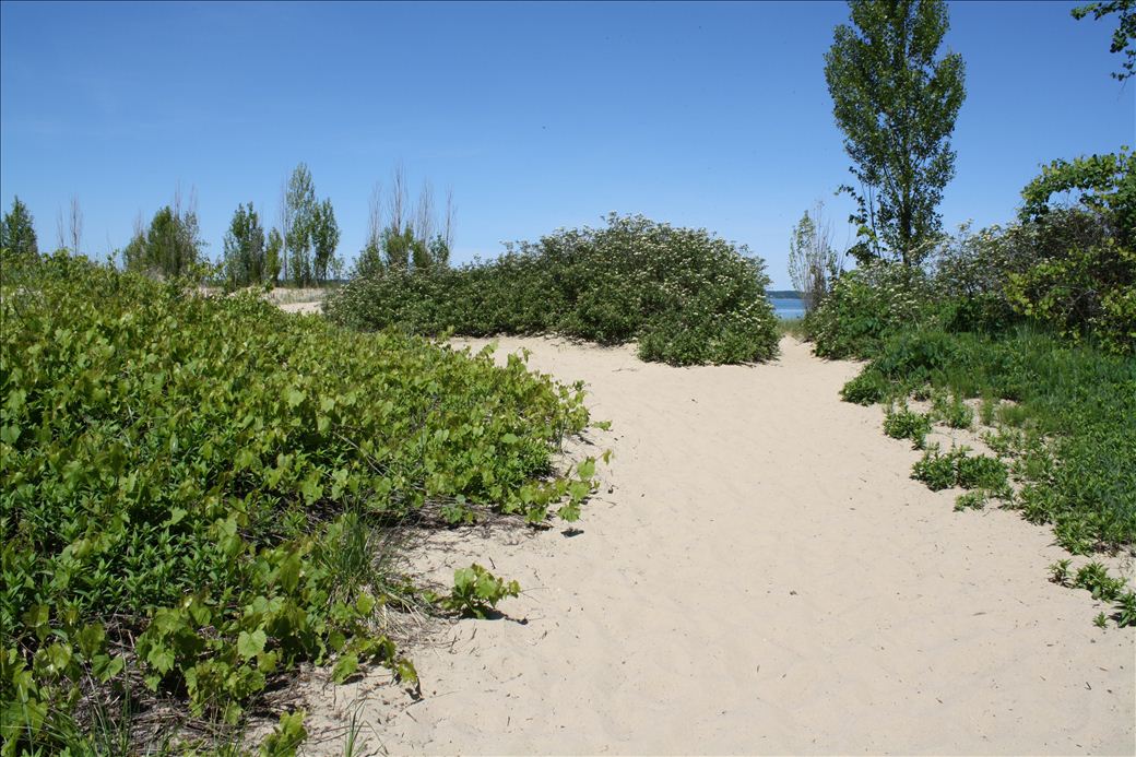 Elk Rapids Dam Beach