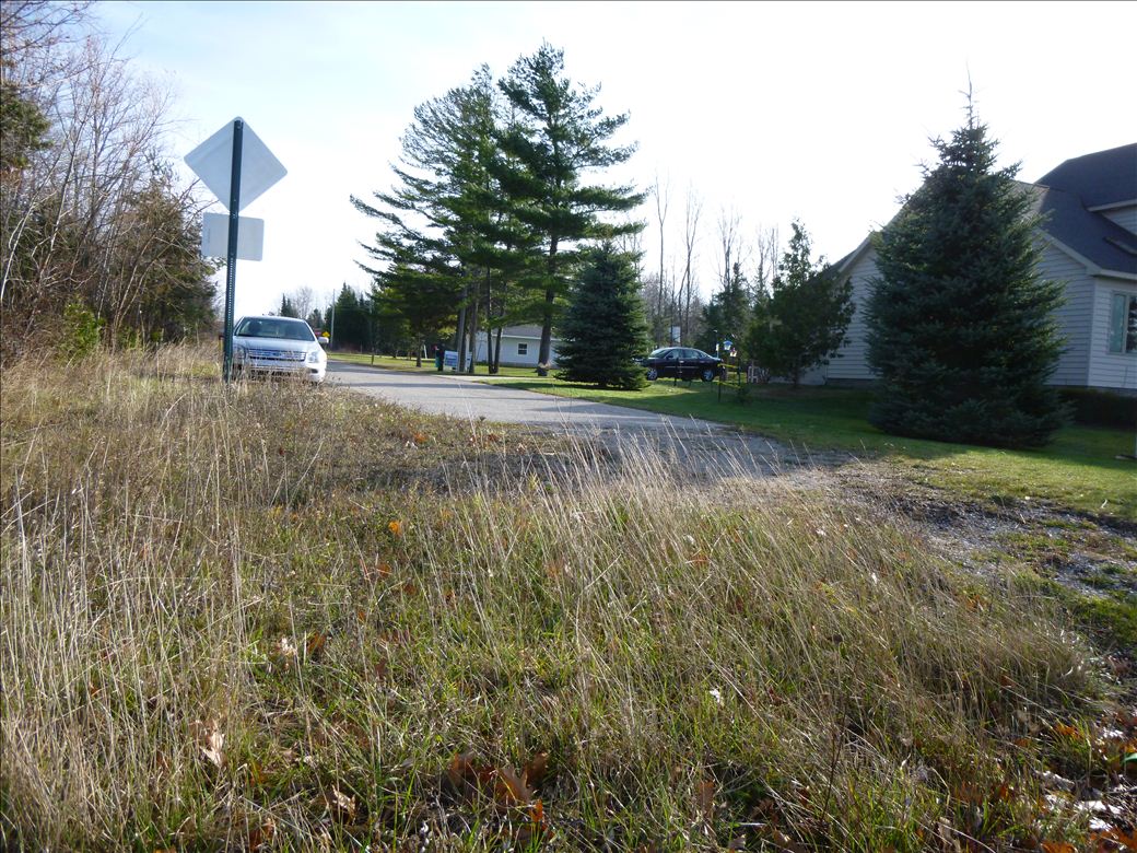 fid12_mullett_lake_woods_rd_2.jpg