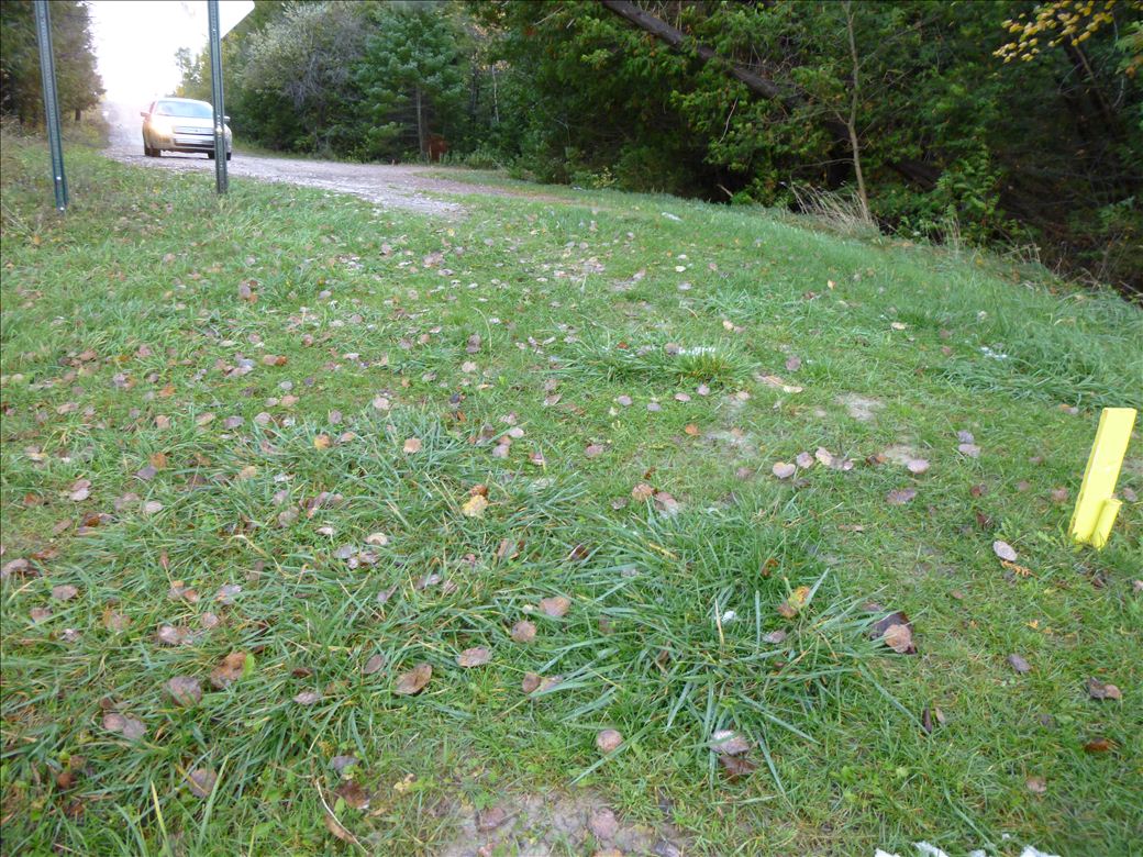 Devereaux Lake Rd - Mullett Lake