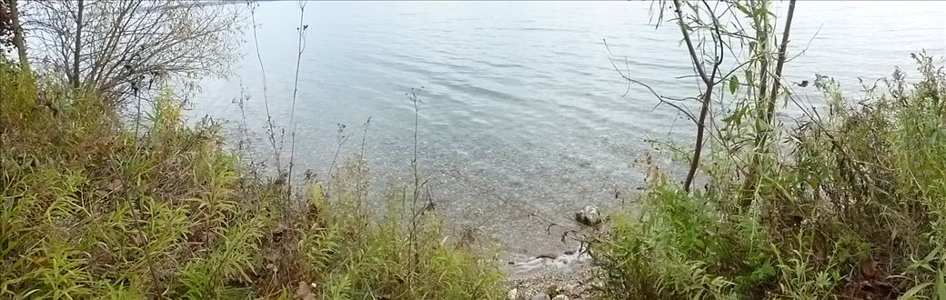 fid57_royal_oak_beach_5.jpg