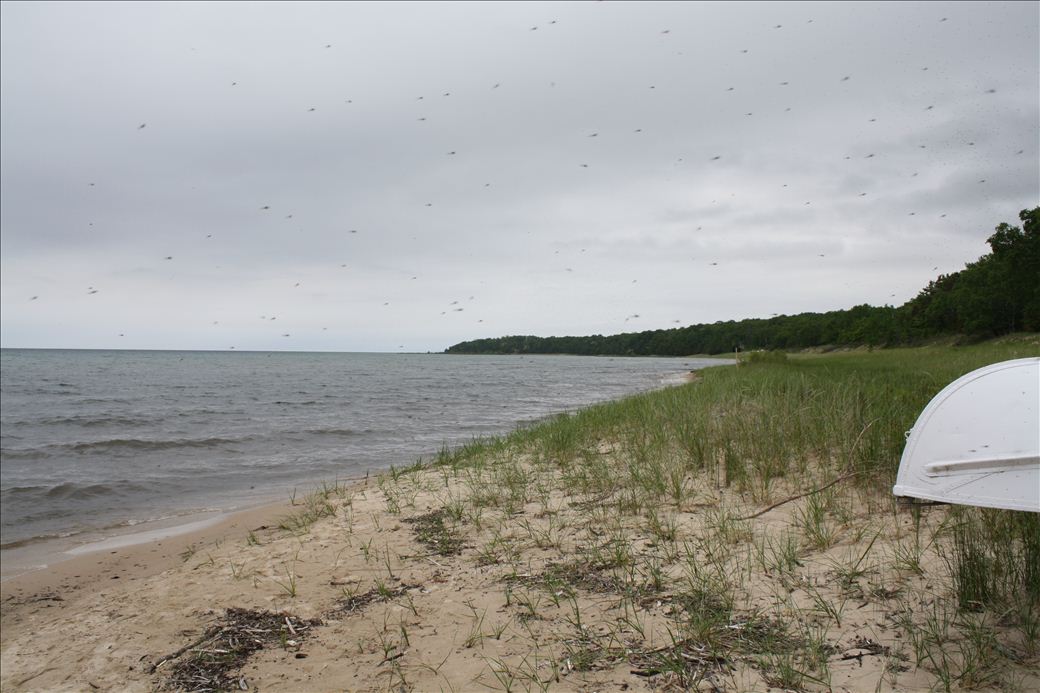 Fishermans Beach