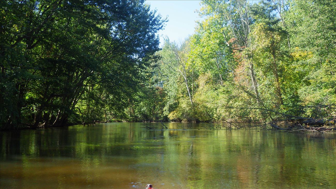 float through undeveloped floodplain forest corridor from Coloma to Bundy Road